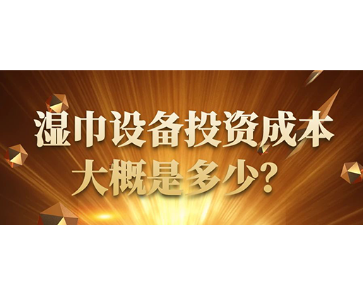 濕巾設(shè)備投資成本大概是多少？